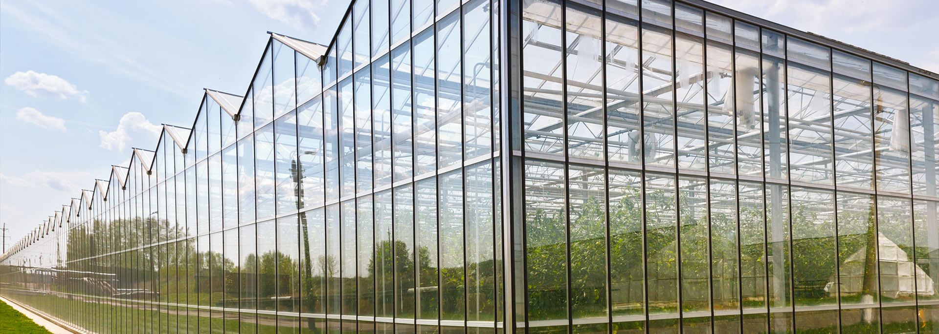 川島·20年行業制造經驗，現代化工廠保障交期