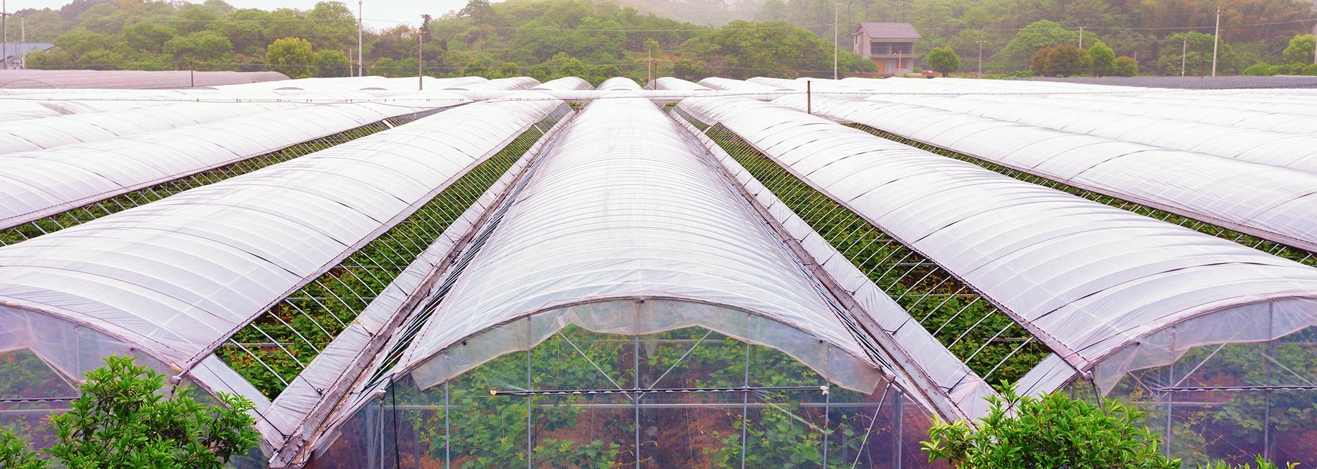 川島·免費上門安裝調試，3包政策全國免費配送